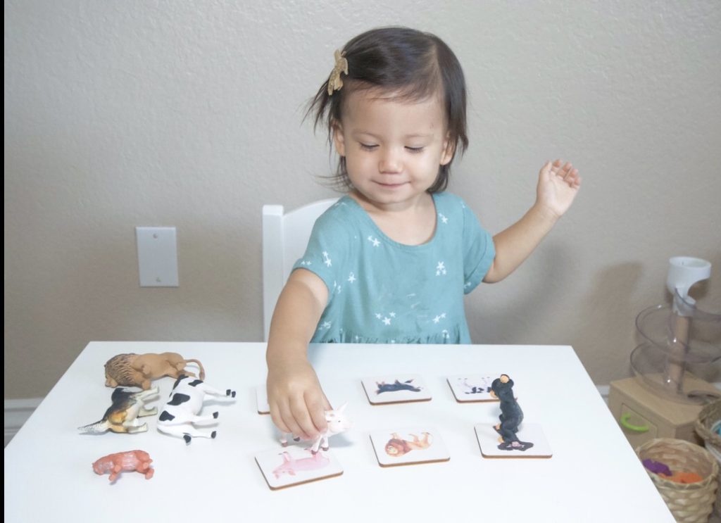 Best toddler toys