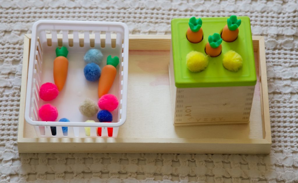 Montessori Activities