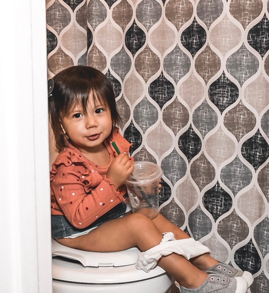 how to potty train
